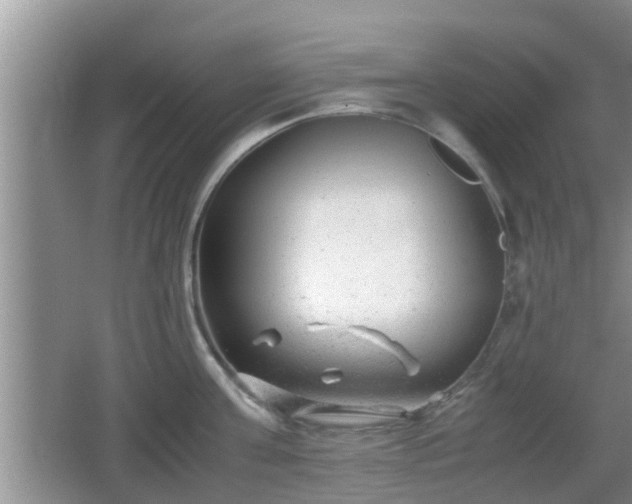 X0000062130811200512121214