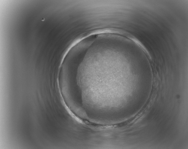 X0000062130813200512121214