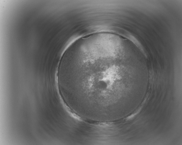 X0000062130814200512121214