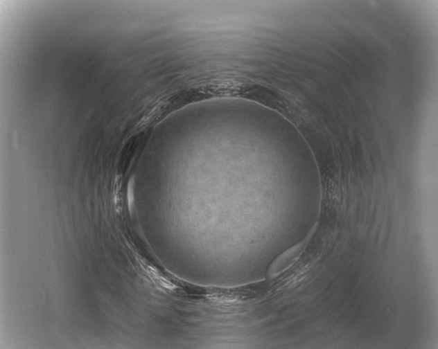 X0000062130818200512121213