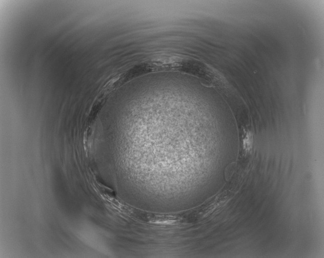 X0000062130819200512121213