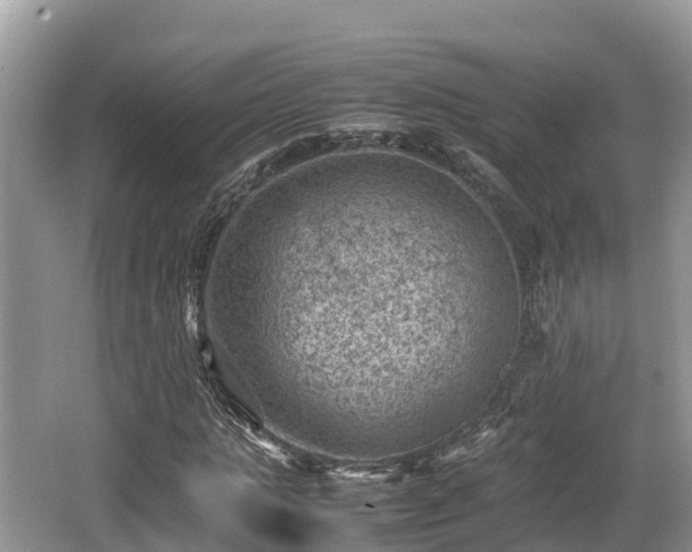 X0000062130821200512121213