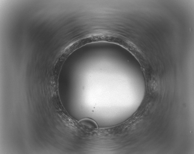 X0000062130822200512121213