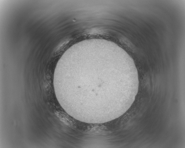 X0000062130824200512121213