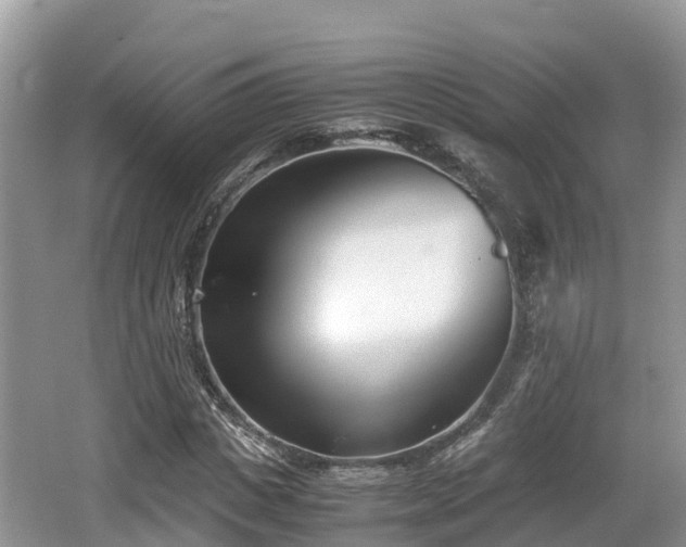 X0000062130825200512121213