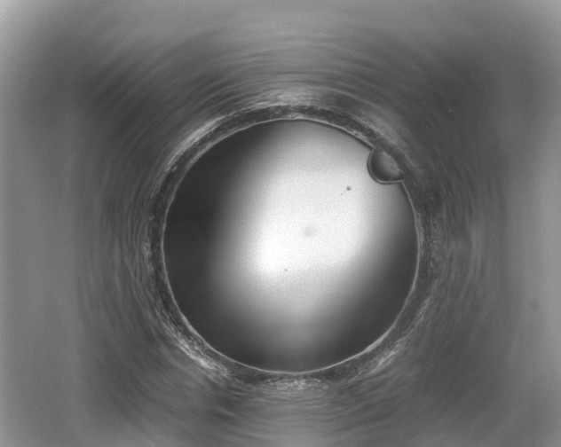 X0000062130826200512121213