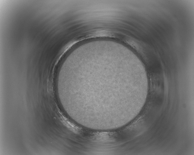 X0000062130828200512121213