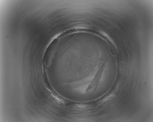 X0000062130829200512121213