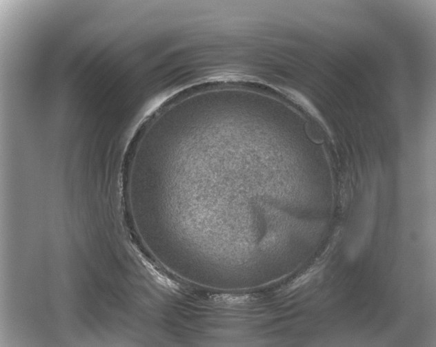 X0000062130831200512121213