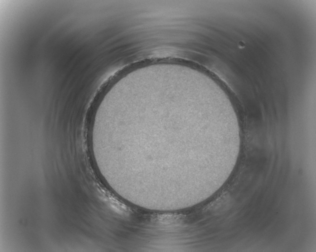 X0000062130832200512121213