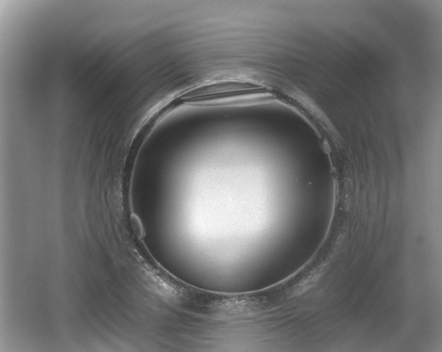 X0000062130834200512121213