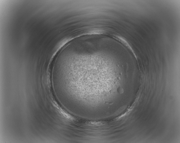 X0000062130835200512121213