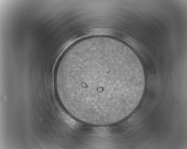 X0000062130836200512121213