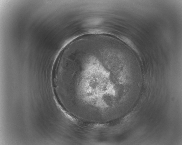 X0000062130839200512121213