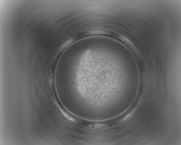 X0000062130841200512121213