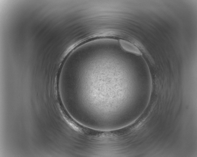 X0000062130842200512121213