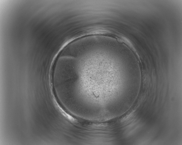 X0000062130843200512121213