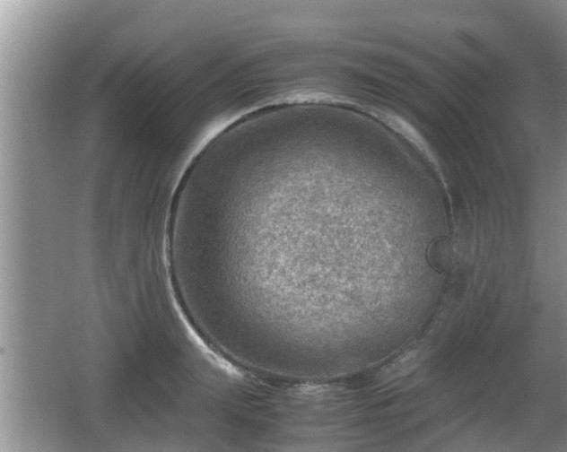 X0000062130847200512121213