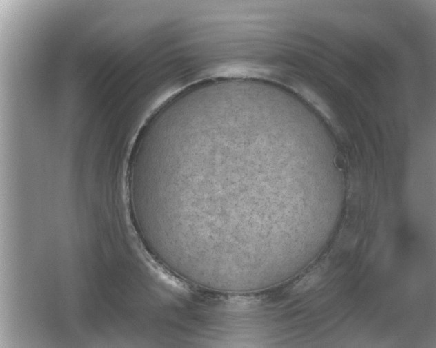 X0000062130848200512121213