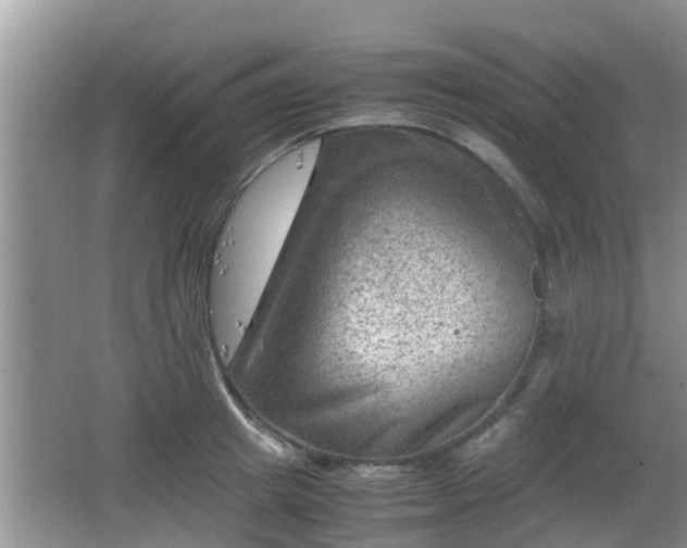 X0000062130849200512121213