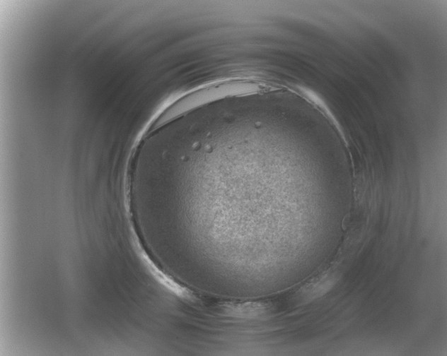 X0000062130851200512121213