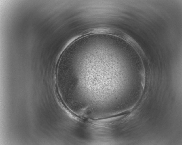 X0000062130852200512121213