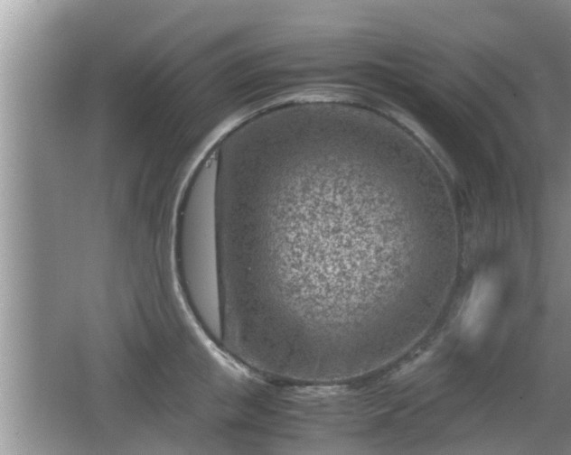 X0000062130853200512121213