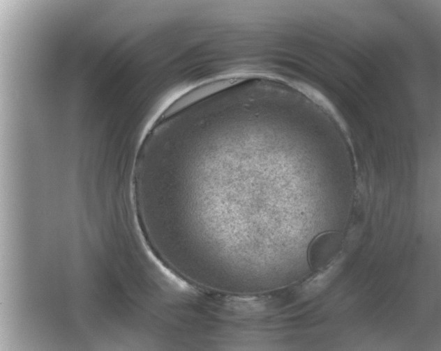 X0000062130855200512121213