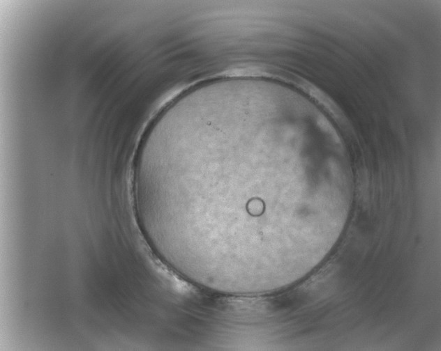 X0000062130856200512121213