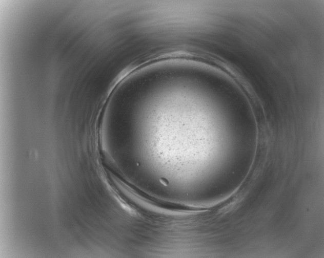 X0000062130858200512121213