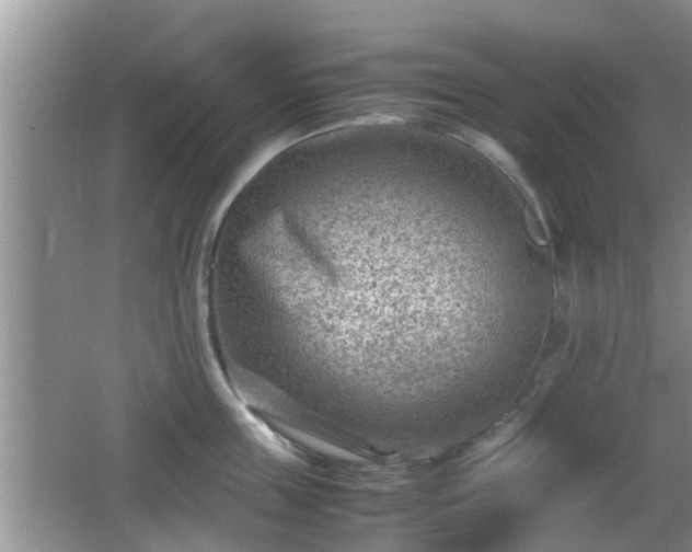 X0000062130859200512121213