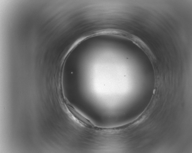 X0000062130860200512121214