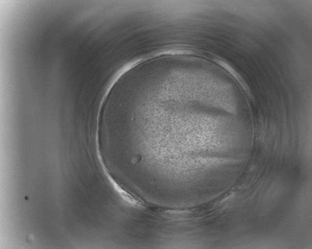 X0000062130861200512121214