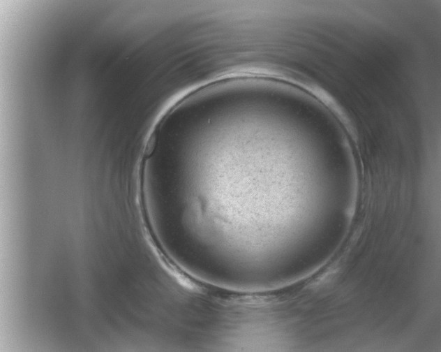 X0000062130862200512121214