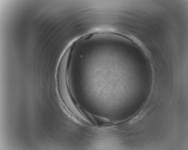 X0000062130864200512121214