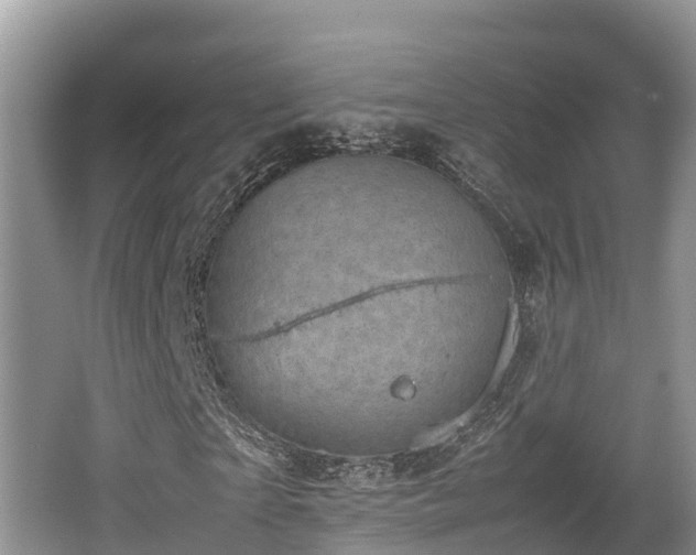 X0000062130865200512121213