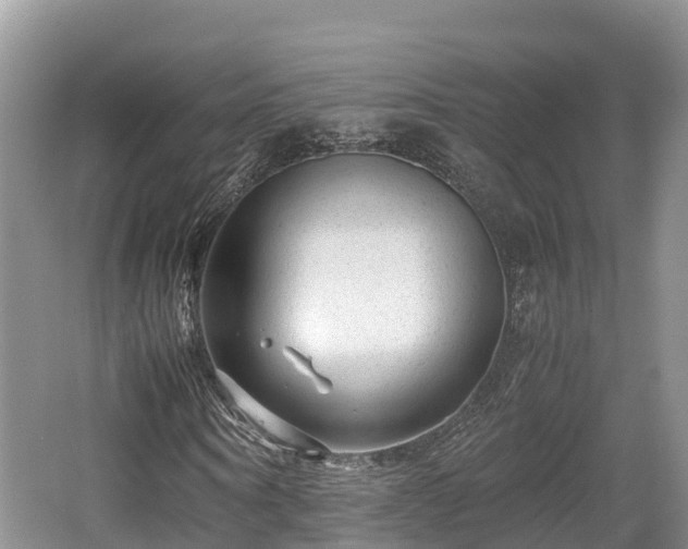 X0000062130866200512121213