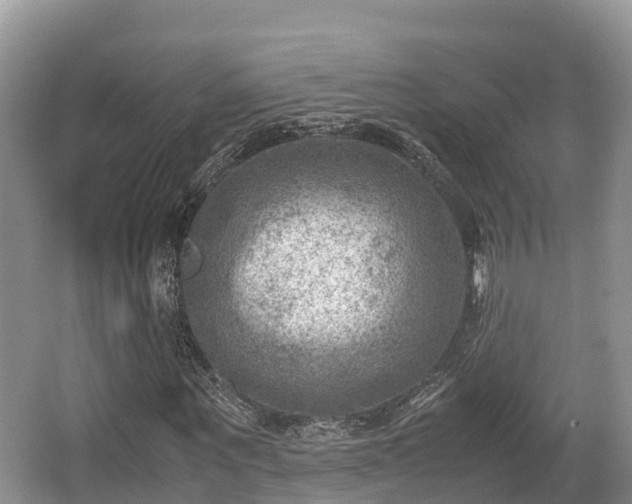 X0000062130867200512121213