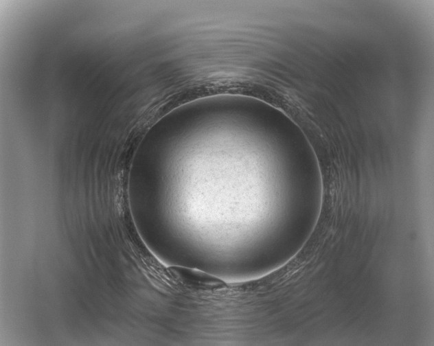 X0000062130868200512121213