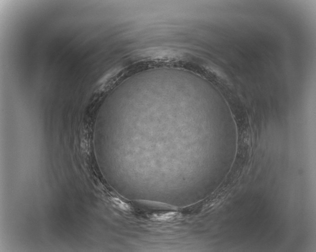 X0000062130869200512121213