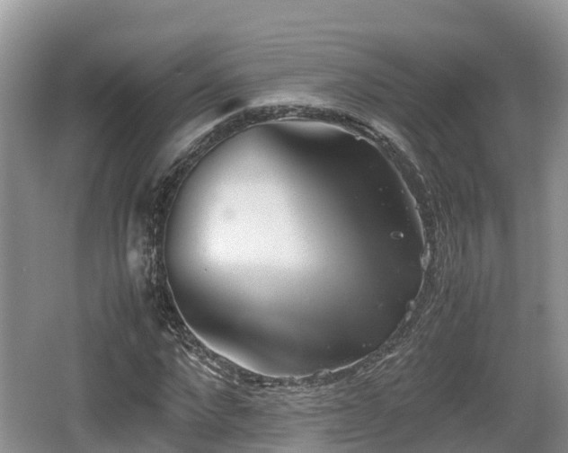 X0000062130872200512121213