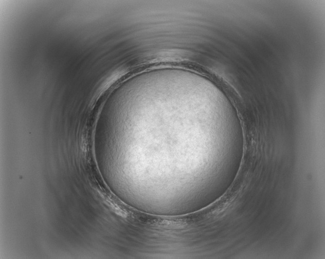 X0000062130874200512121213