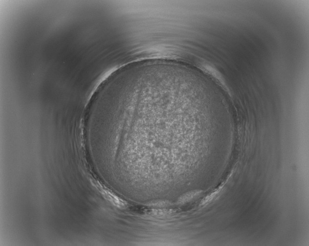 X0000062130875200512121213