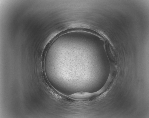 X0000062130877200512121213