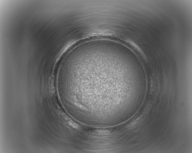 X0000062130878200512121213