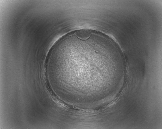 X0000062130879200512121213