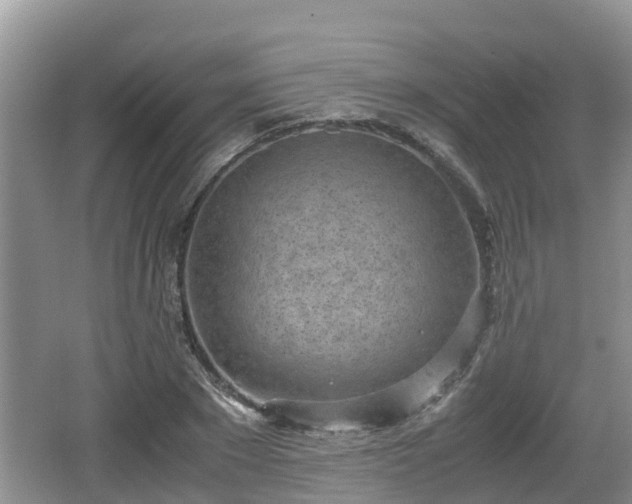 X0000062130881200512121213