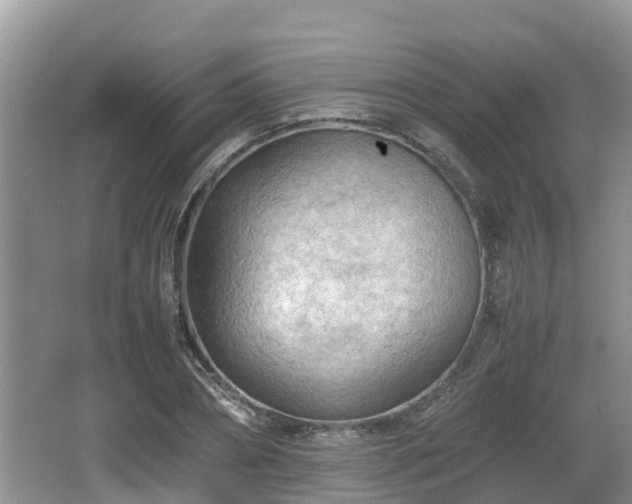 X0000062130882200512121212