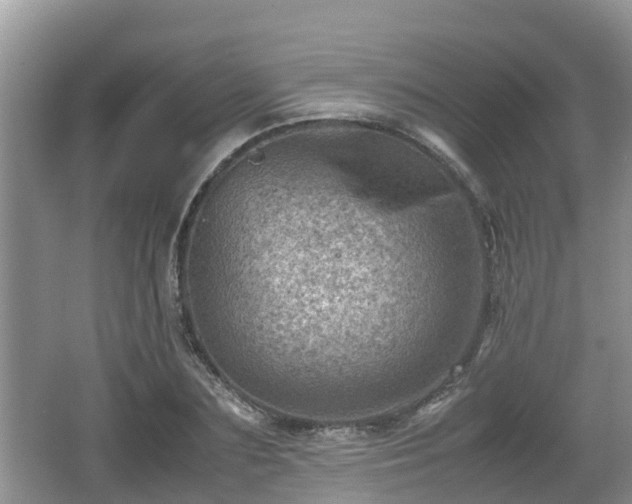 X0000062130883200512121212