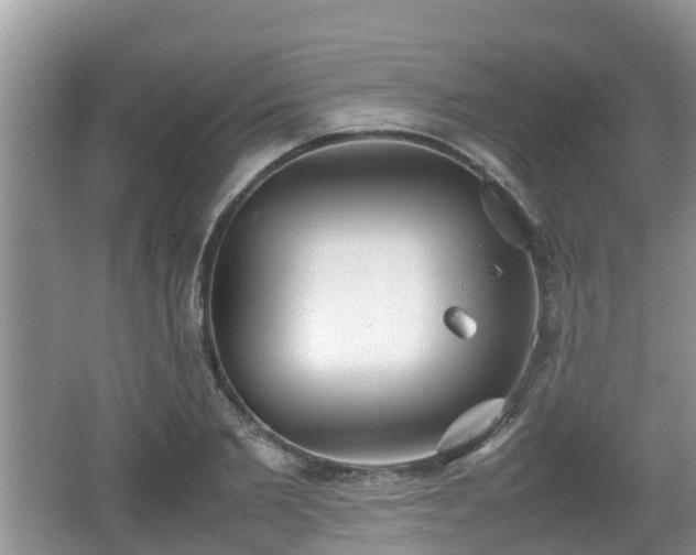 X0000062130885200512121212